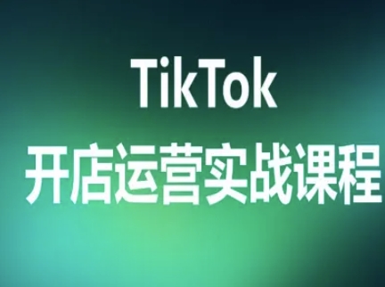 TikTok开店运营实战课程，TK跨境电商实操全流程-副业资源站