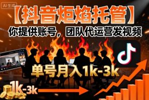 【抖音炬焰托管】你提供账号，团队代运营发视频，单号月入1k+【揭秘】-副业资源站