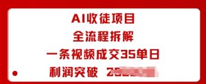AI收徒项目全流程拆解一条视频成交35单日利润突破1k+-副业资源站