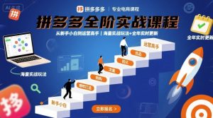 拼多多全阶实战课程，从新手小白到运营高手，海量实战玩法+全年实时更新【2025年9月更新】-副业资源站