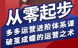 拼多多运营进阶系统课,从零起步,多多运营进阶体系课,破茧成蝶的运营之术(更新9月)-副业资源站