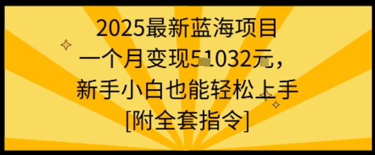 2025最新蓝海项目一个月变现1w+新手小白也能轻松上手【附全套指令】-副业资源站