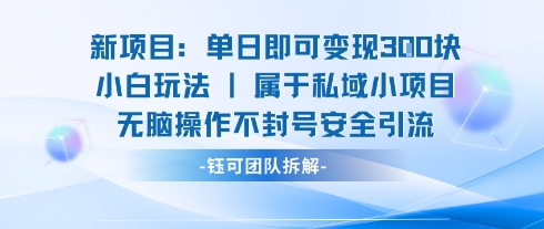 新项目单日即可变现3张的小白玩法无脑操作不封号安全引流-副业资源站