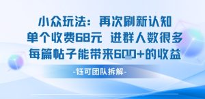 小众玩法再次刷新认知单个收费68米进群人数很多每篇帖子能带来6张的收益-副业资源站