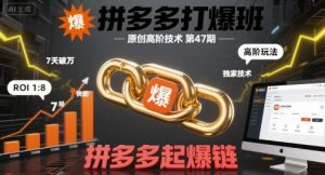 拼多多打爆班原创高阶技术第47期，拼多多起爆链-副业资源站