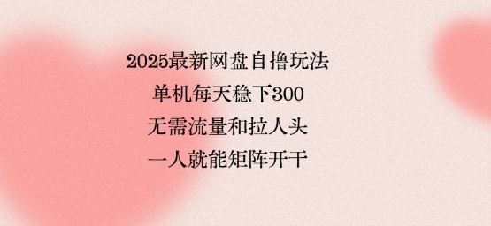 2025最新网盘自撸玩法，单机每天稳下3张，无需流量和拉人头，一个人就可轻松矩阵，全网独一份【揭秘】-副业资源站