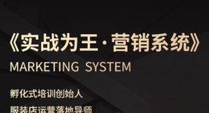 服装老板必修课《实战为王-营销系统》实现业绩被动式增长-副业资源站
