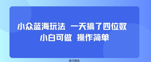 小众蓝海玩法 一天搞了四位数 小白可做 操作简单-副业资源站