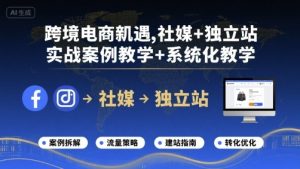 跨境电商新机遇，社媒+独立站，实战案例教学+系统化教学-副业资源站