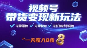 视频号带货变现新玩法,无需露脸,无需粉丝,无任何封号风险,一天收益8张【揭秘】-副业资源站