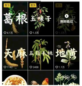 抖音中草药赛道，用AI做中草药故事视频，45条作品涨粉13W，橱窗带货猛猛出单-副业资源站