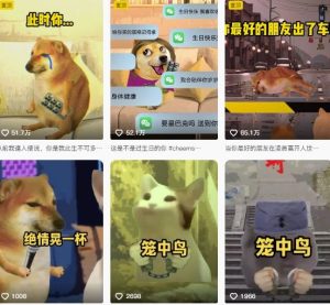 狗头幸运星UE5动画全套课程，从入门到实操全掌握-副业资源站