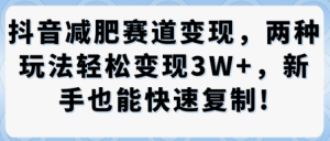抖音减肥赛道变现，两种玩法轻松变现3W+，新手也能快速复制-副业资源站