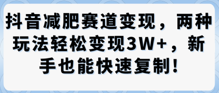 抖音减肥赛道变现，两种玩法轻松变现3W+，新手也能快速复制-副业资源站