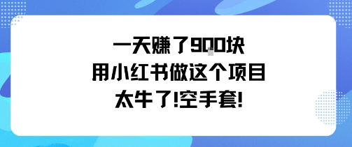 一天挣了9张用小红书做这个项目太牛了，空手套-副业资源站