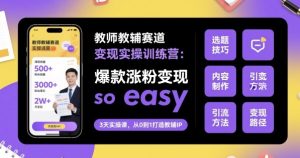 教师教辅赛道变现实操训练营，爆款涨粉变现so easy-副业资源站