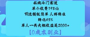 私域冷门赛道:单个收费198米引流模板简单人群精准转化45%单人一天大概收益是1k+-副业资源站