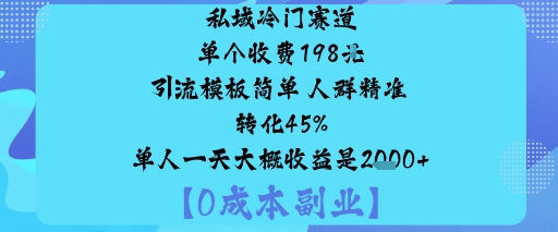 私域冷门赛道:单个收费198米引流模板简单人群精准转化45%单人一天大概收益是1k+-副业资源站