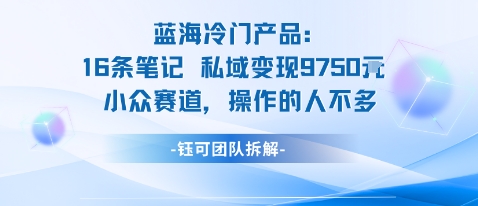 蓝海项目：16条笔记私域变现9750米小众赛道操作的人不多-副业资源站
