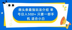 微头条最强玩法介绍一个号日入5张+只要一部手机适合小白-副业资源站