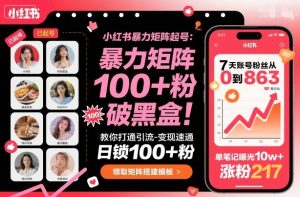小红书暴力矩阵起号，教你打通引流-变现速通，日锁100+粉，破流量黑盒-副业资源站