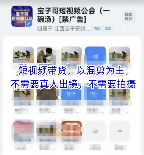 宝子哥头部团队短视频带货，以混剪为主，不需要真人出镜，不需要拍摄【更新9月】-副业资源站