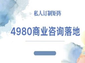 4980商业咨询师落地课程-ip运营高客单教程-副业资源站