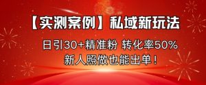 【实测案例】私域新玩法，日引30+精准粉，转化率50%，新人照做也能出单！-副业资源站