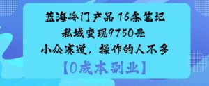 蓝海冷门产品：16条笔记私域变现9750米小众赛道，操作的人不多-副业资源站