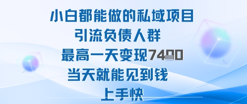 2025年小白都能做的私域项目引流负债人群最高一天变现1k+高变现难度低当天就能见到钱上手快-副业资源站