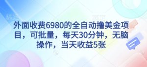 外面收费6980的全自动撸美刀项目，可批量，每天30分钟，无脑操作，当天收益5张【揭秘】-副业资源站