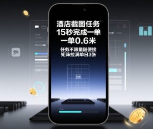 酒店截图任务，15秒完成一单，一单0.6米，任务不限量随便接，矩阵拉满单日3张【揭秘】-副业资源站