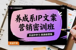 养成系IP文案营销密训班，实战中学习真高级营销-副业资源站