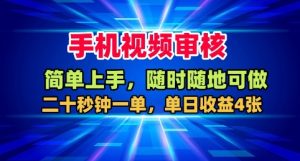 手机视频审核，随时随地可做，二十秒钟一单，单日收益4张+【揭秘】-副业资源站