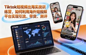 Tiktok短视频出海实战训练营，如何利用海外短视频平台实现引流、带货、测评-副业资源站