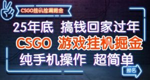 25年底搞钱回家过年，CSGO游戏挂G掘金，纯手机操作超简单【揭秘】-副业资源站