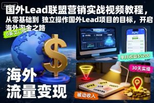 国外Lead联盟营销实战视频教程，从零基础到独立操作国外Lead项目的目标，开启海外淘金之路-副业资源站
