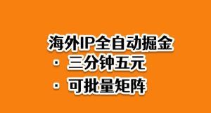 海外ip全自动掘金，2025必做蓝海项目，3分钟落地，矩阵直接开干【揭秘】-副业资源站