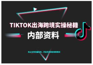 TikTok跨境电商0-1搭建运营,TK出海跨境实操秘籍(10月更新)-副业资源站