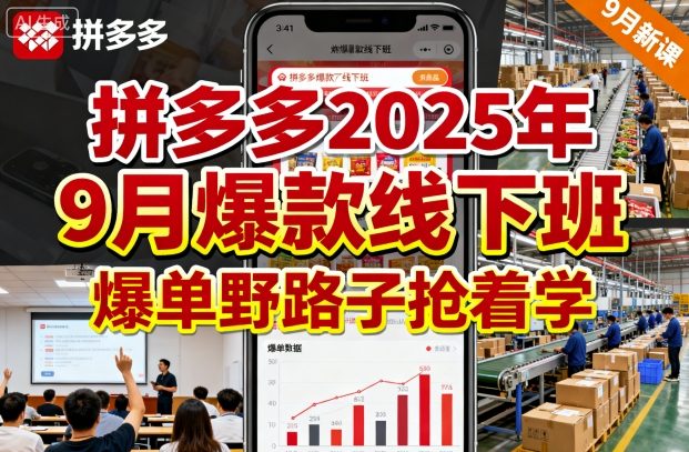 拼多多2025年9月爆款线下班，爆单野路子抢着学-副业资源站