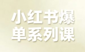 小红书爆单系列课，聚焦小红书电商全链路增长-副业资源站
