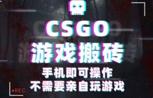 CSGO游戏挂G捡漏,单日扫货5张+,年底小高峰上车可吃肉,手机即可操作,兼职副业创业网创【揭秘】-副业资源站
