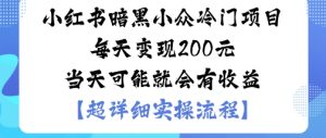 小红书暗黑小众冷门项目每天变现2张当天可能就会有收益-副业资源站