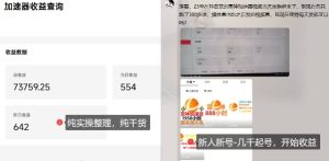 游戏加速器项目4.0_最新打法思路（爱玩游戏也能边玩边被动收益）-副业资源站