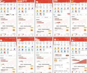 拼多多虚拟电商，门槛低，搬运上架，操作起来简单粗暴，单人单店三位数，可矩阵-副业资源站