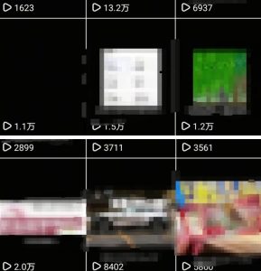 抖音引流创业粉教程，创业粉终于跑通了，私域是永远的王-副业资源站