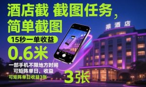 酒店截图任务，简单截图，15秒一单收益0.6米，一部手机不限地方时间，可矩阵单日收益3张【揭秘】-副业资源站