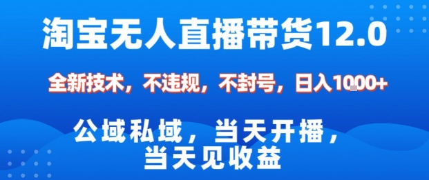 淘宝无人直播12.0，公域私域技术，不封号，不违规布局双十一流量风口，日入1k（独家技术）【揭秘】-副业资源站