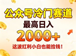 公众号冷门赛道，最高日入1k+，这波红利小白也能捡钱！-副业资源站