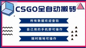 CSGO全自动搬砖，年底钱回家好项目，当天可拿到结果，新手小白轻松月入1W+【揭秘】-副业资源站